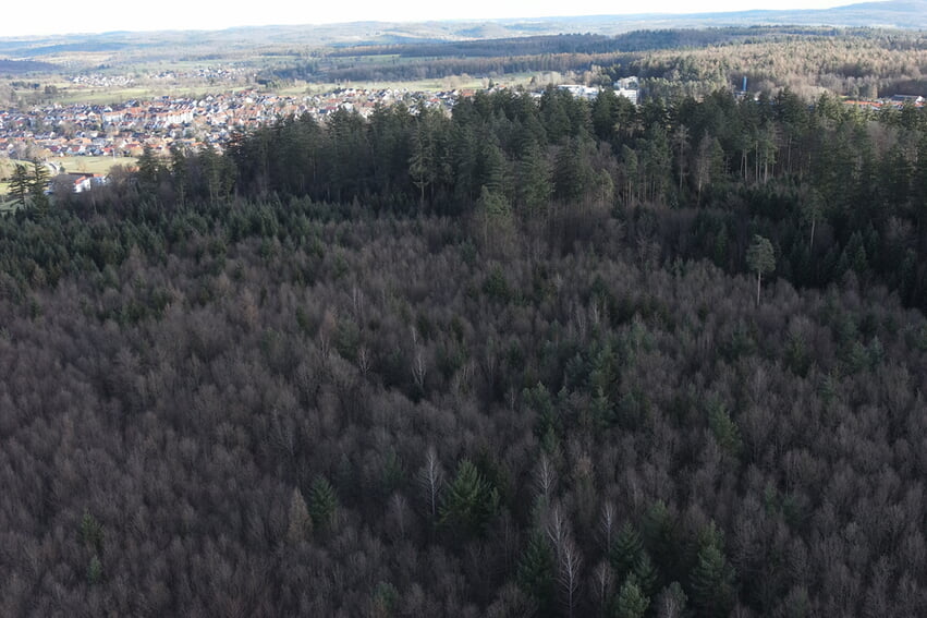 Junger Wald soweit das Auge reicht: Die Vogelperspektive zeigt die Laubmischwälder auf den ehemaligen Kahlflächen, die durch Sturm Lothar entstanden waren. Wo früher Nadelreinbestände standen, wachsen heute Eichenmischwälder, die von den Försterinnen und Förstern vor Ort angepflanzt und gepflegt wurden. In der Not der Sturmschäden nutzten sie die Chance zum Waldumbau zu klimastabileren Mischwäldern. Foto: Landkreis