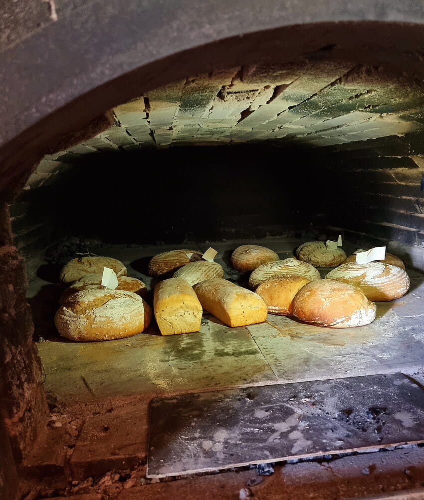 Leckeres Brot aus dem Holzofen