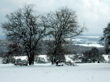 Blick zum Schwarzwald