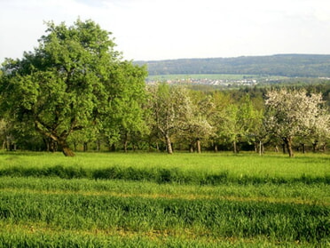 Landschaftsbild